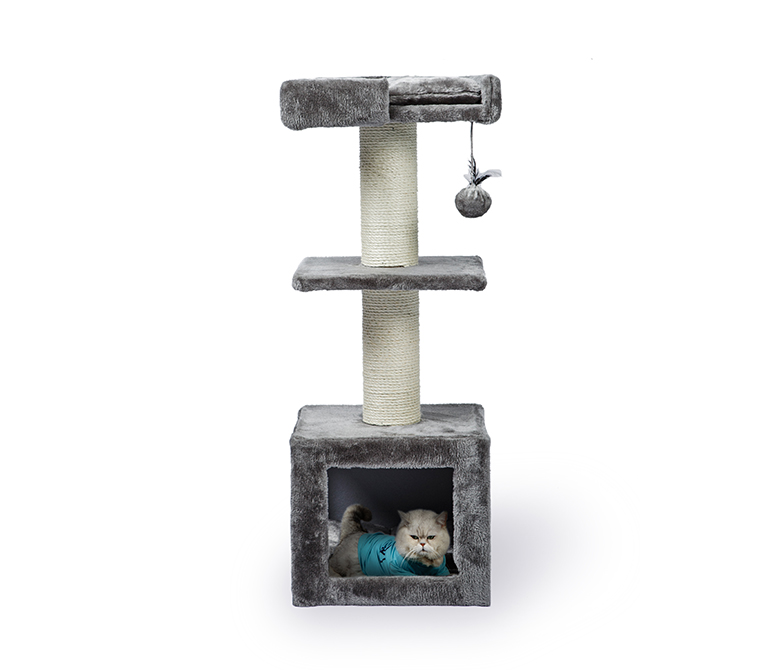 Kleine krabpalen voor katten